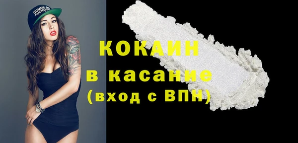 мет Каменка