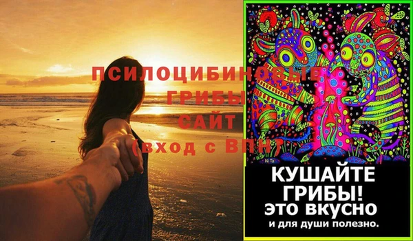 мет Каменка