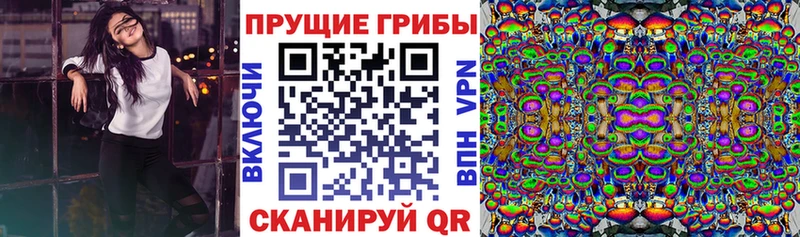 Псилоцибиновые грибы прущие грибы  Купить  Евпатория 